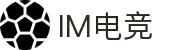 IM(股份有限公司)电竞-电子竞技平台