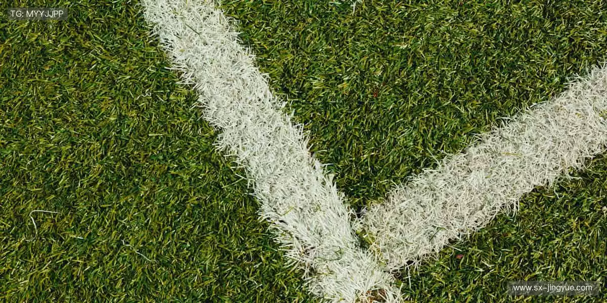 🎥专业解说，带你看透赛场背后的战术密码！🎙️